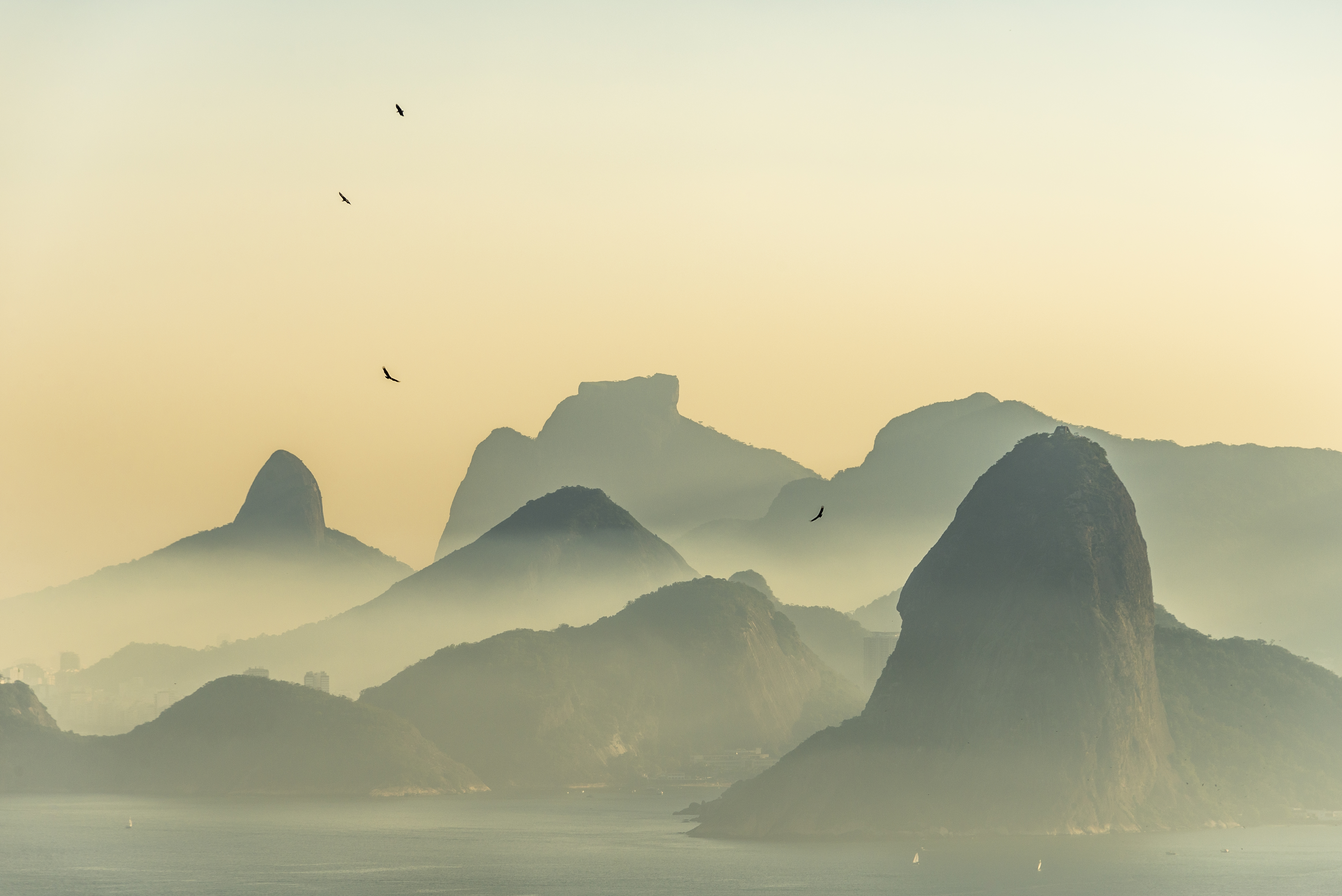 Giants of Rio