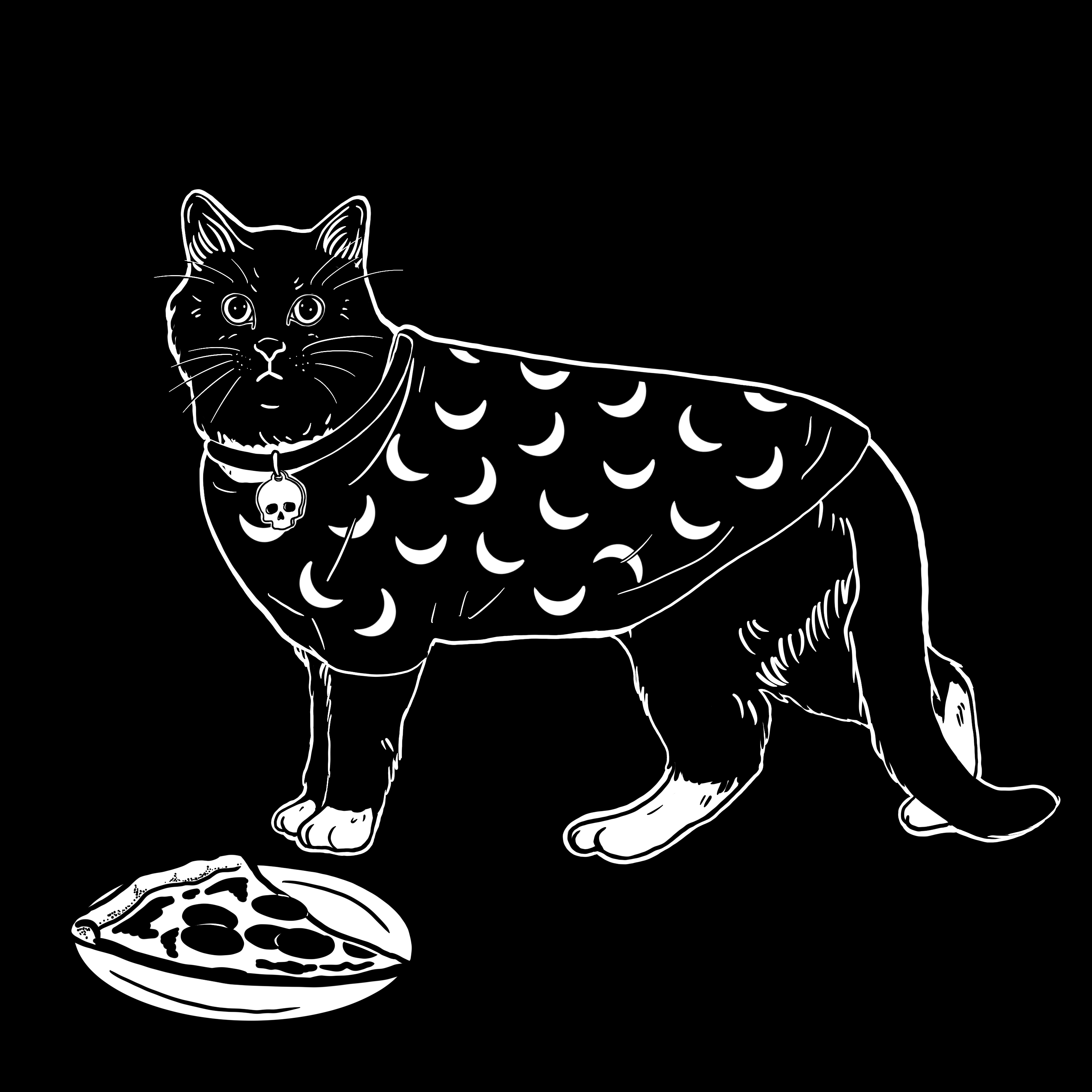 The Sad Cat #6274