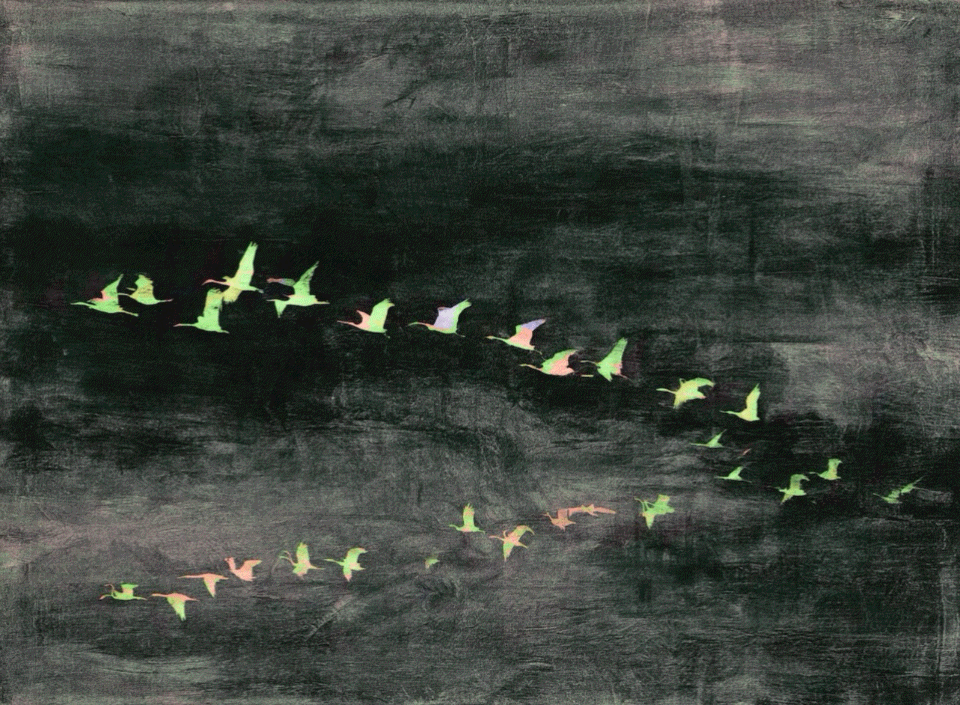 <   somewhere     between   here and gone >