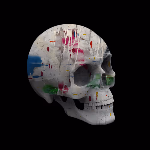 Skulls By Pierre #06