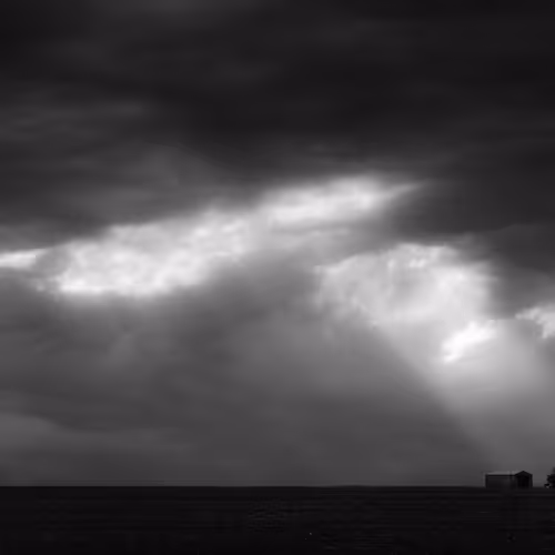The Journey: Home