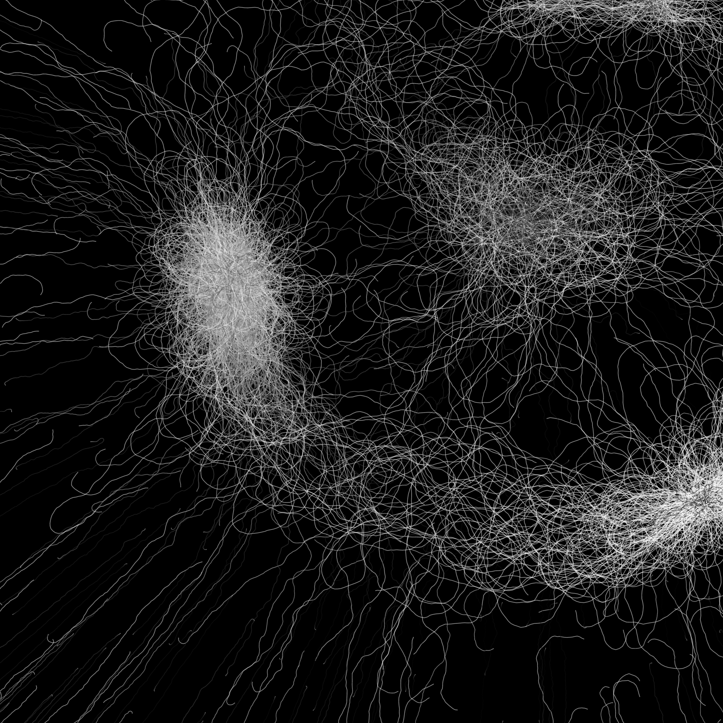 Phototaxis #46