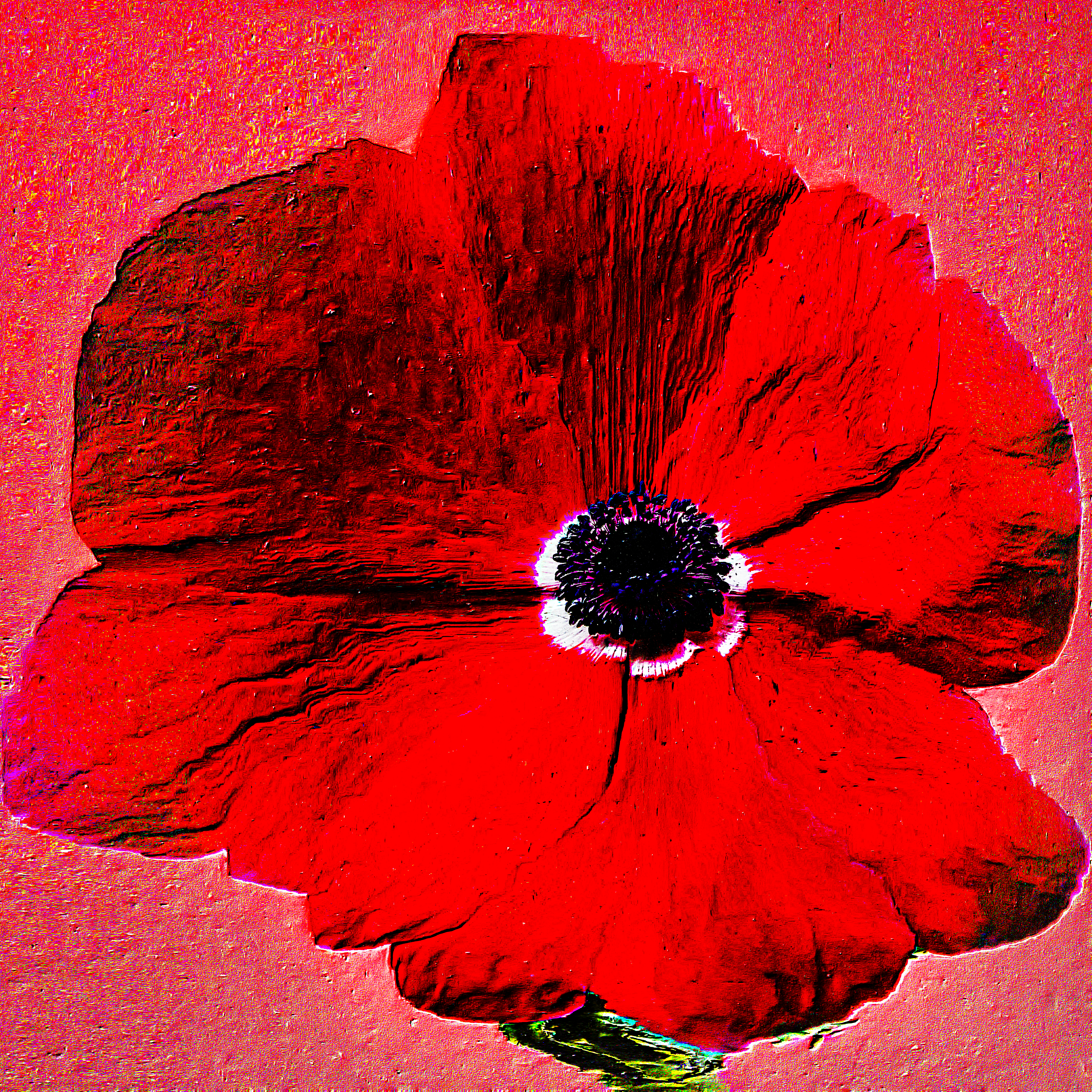 Flower #01 by CYDR