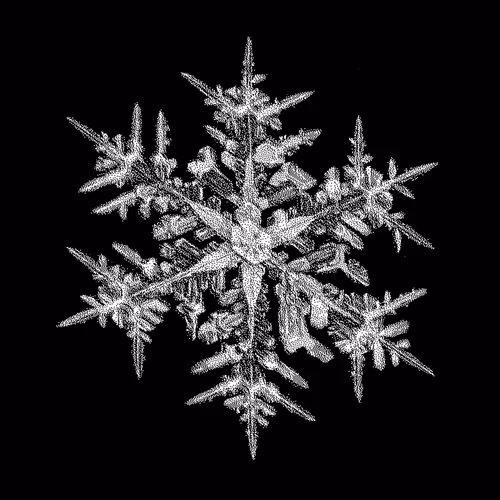 WINTΞR Season 01