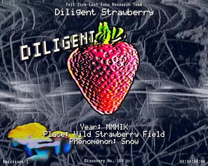 #154 | Diligent Strawberry