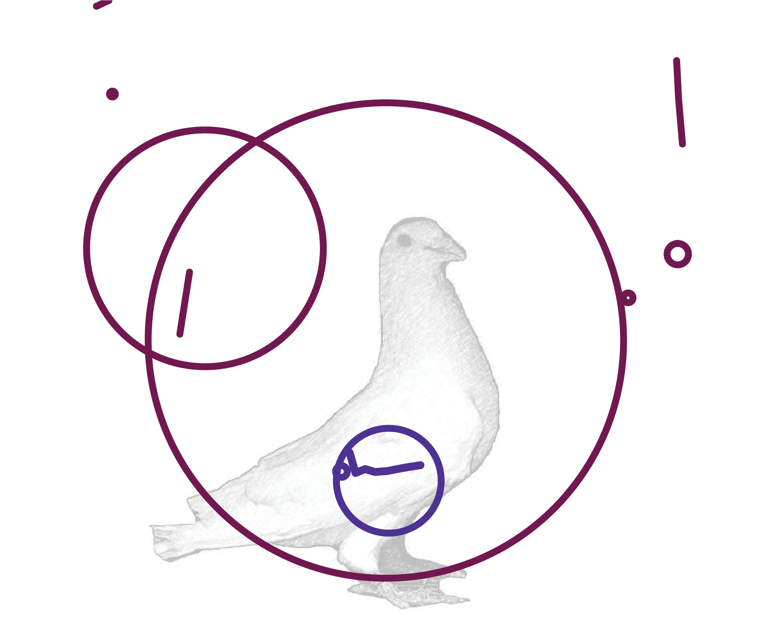 P01.197