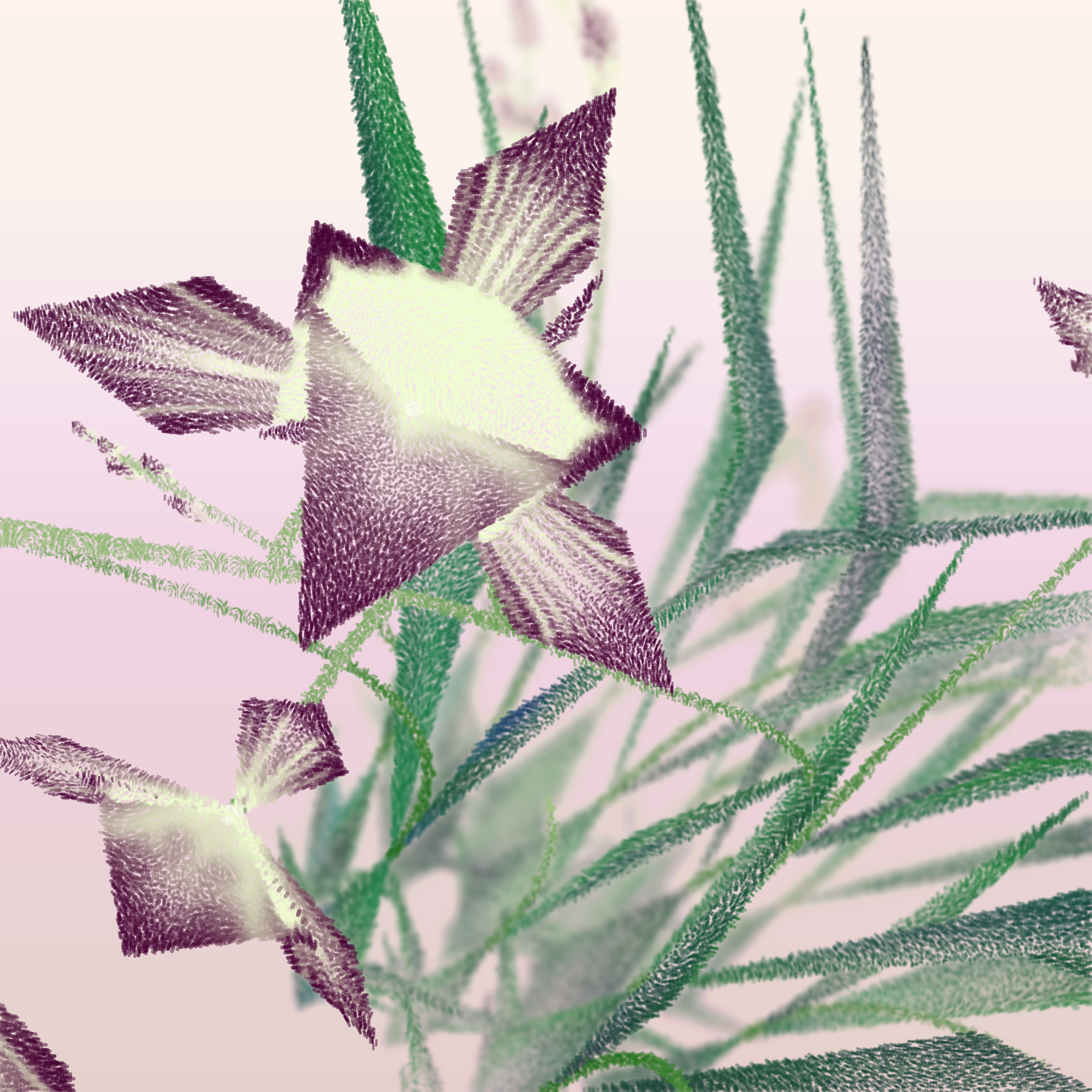 Cattleya #269