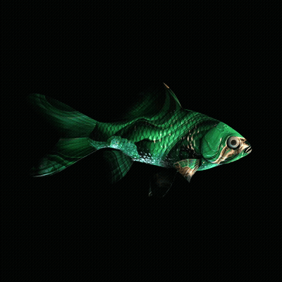 CryptoFish #2300