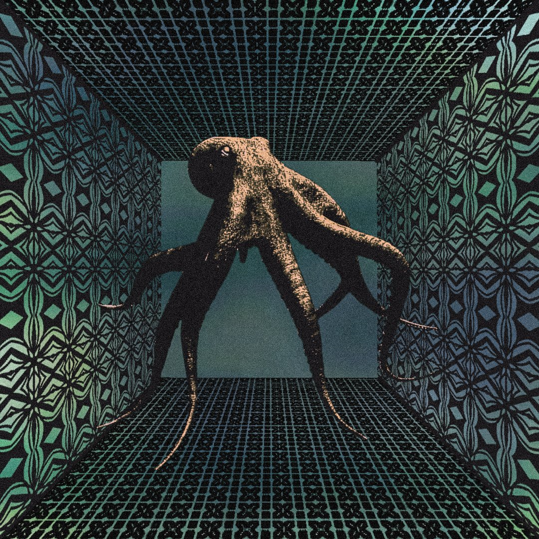 02 - 🐙