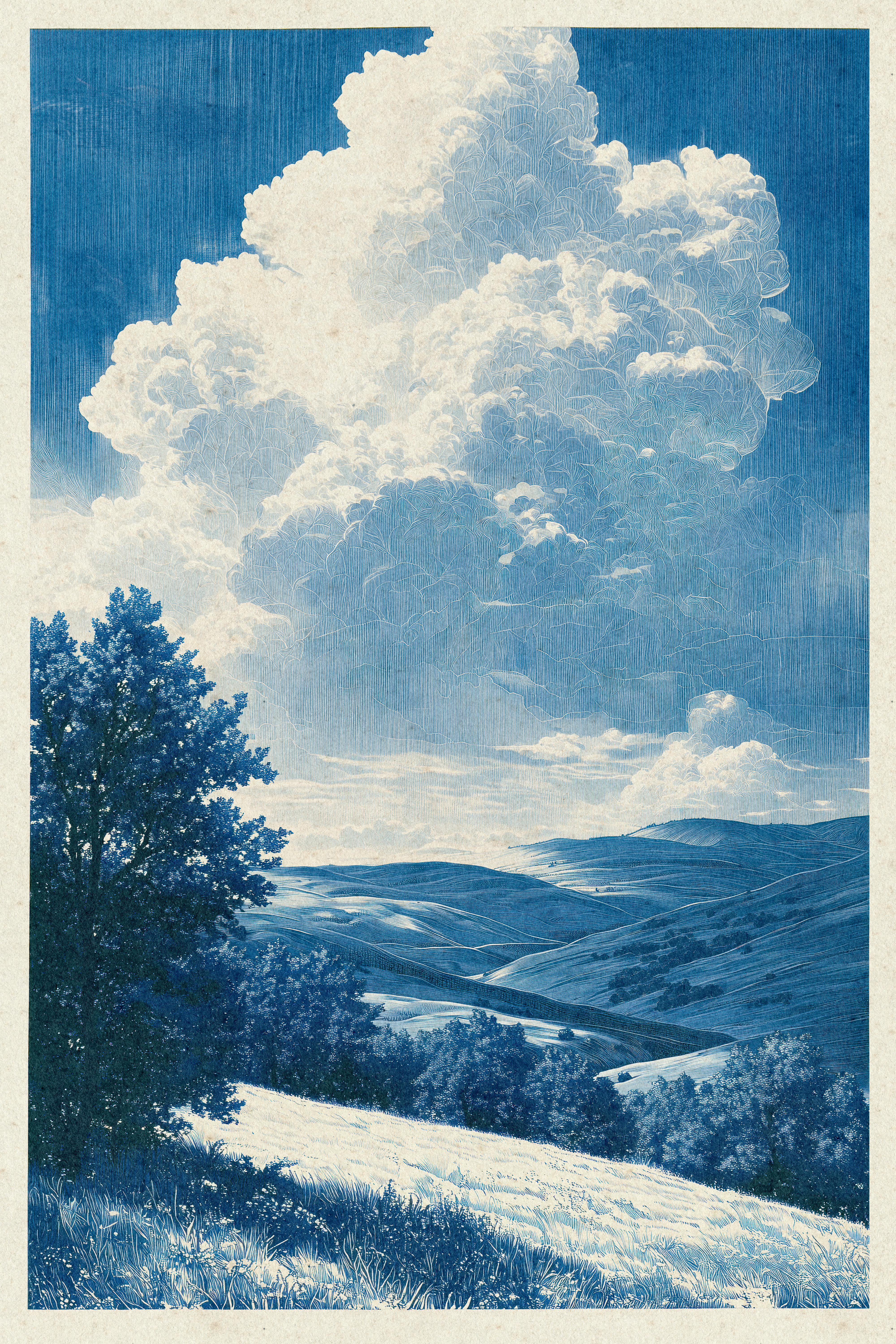 From The Hill