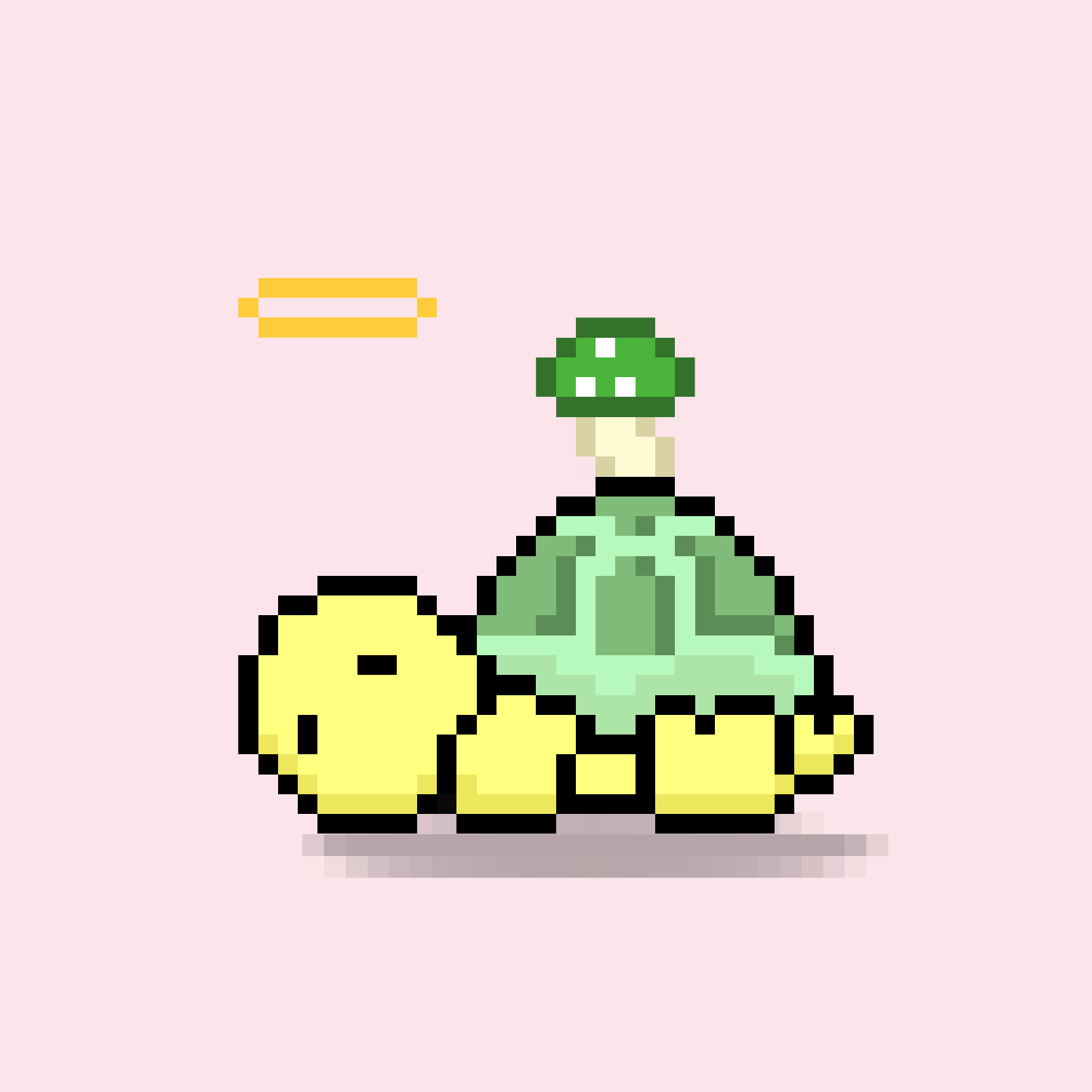 Turtle Moons #6335