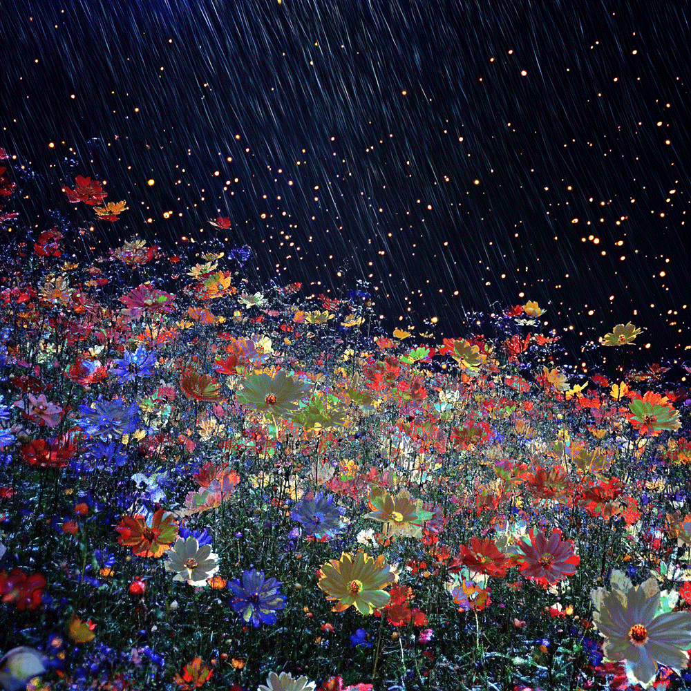 Da Omnes Flores