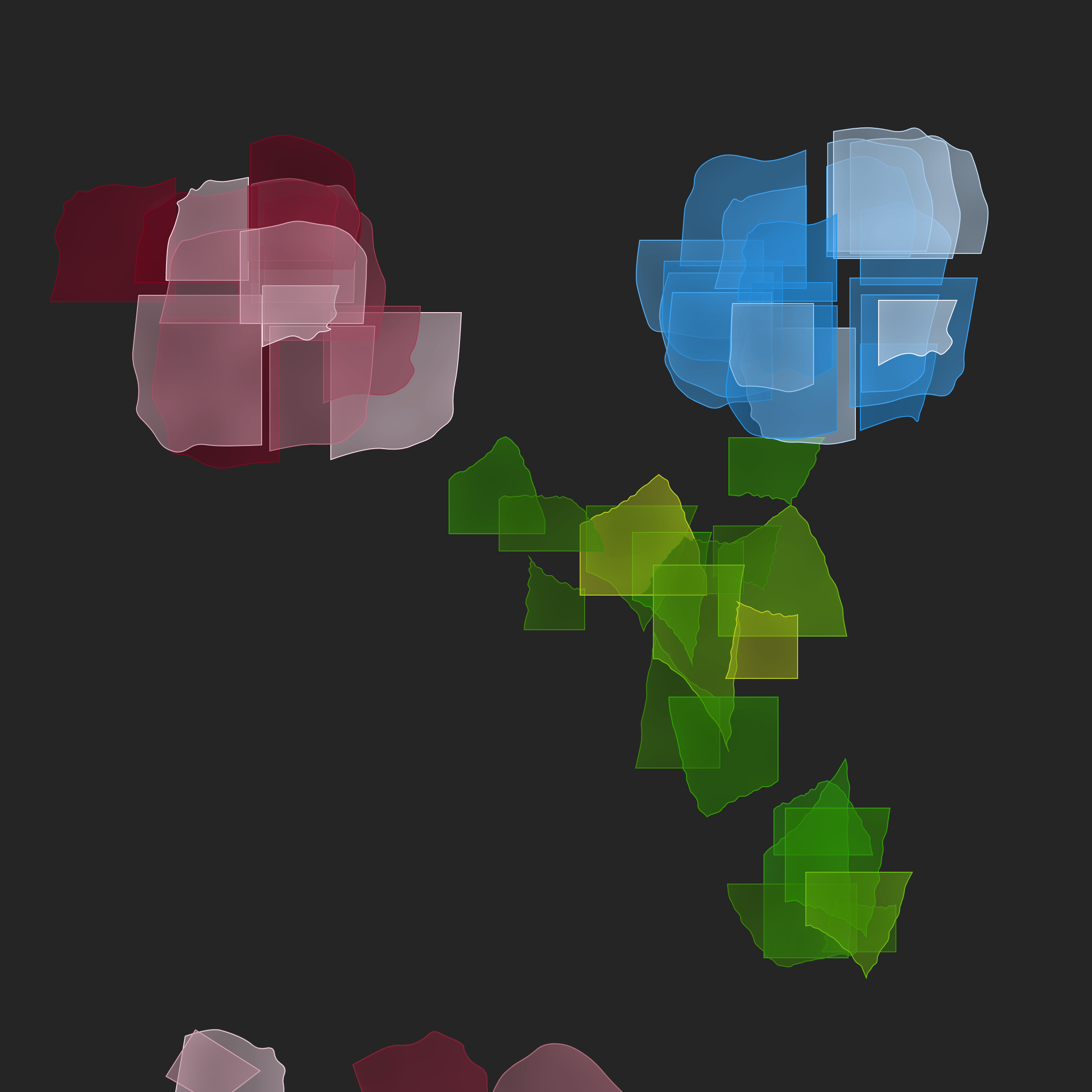 Bloom #13