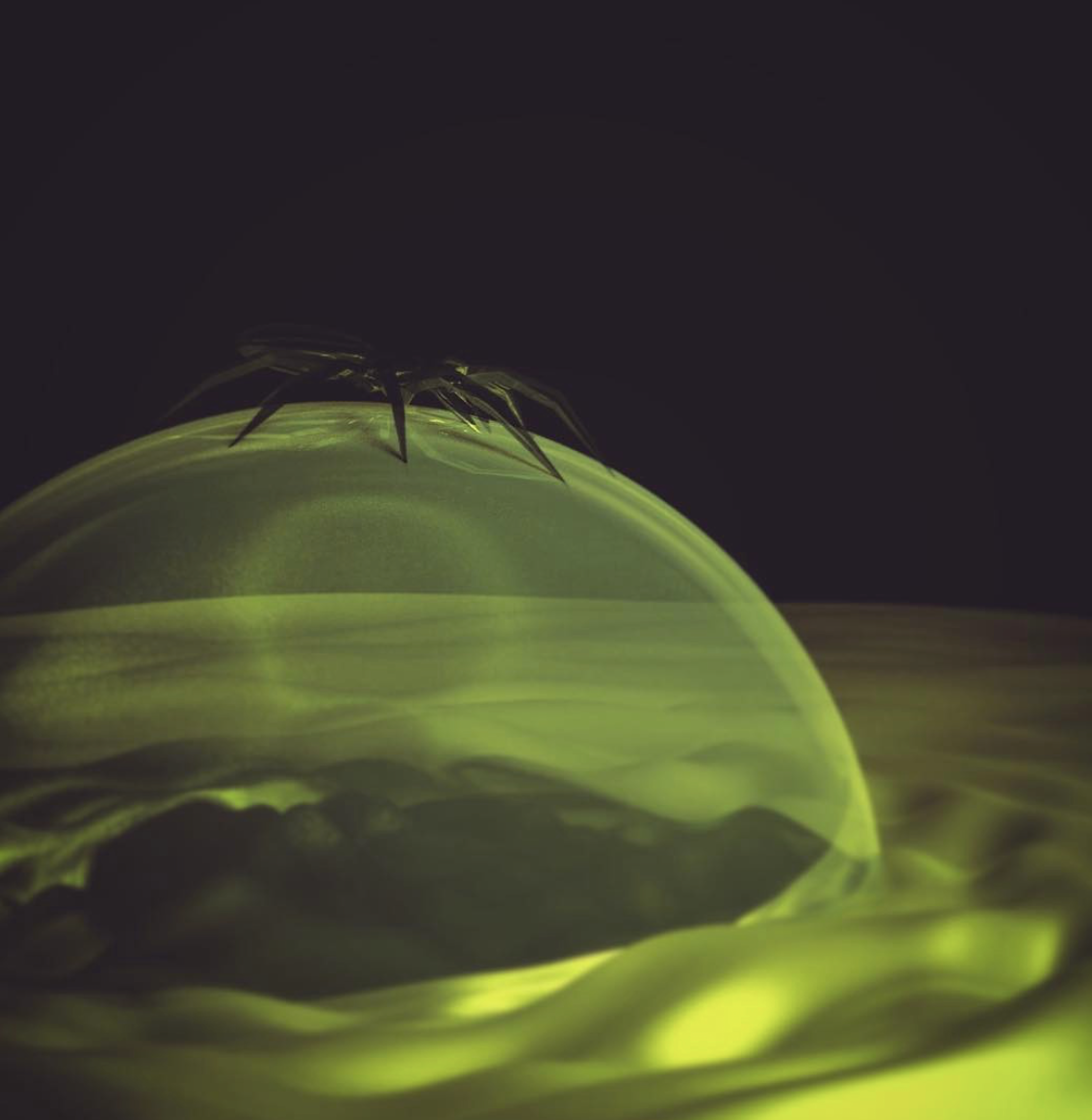 Spider