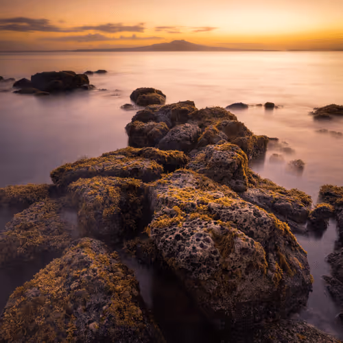 Rangitoto Sunrise