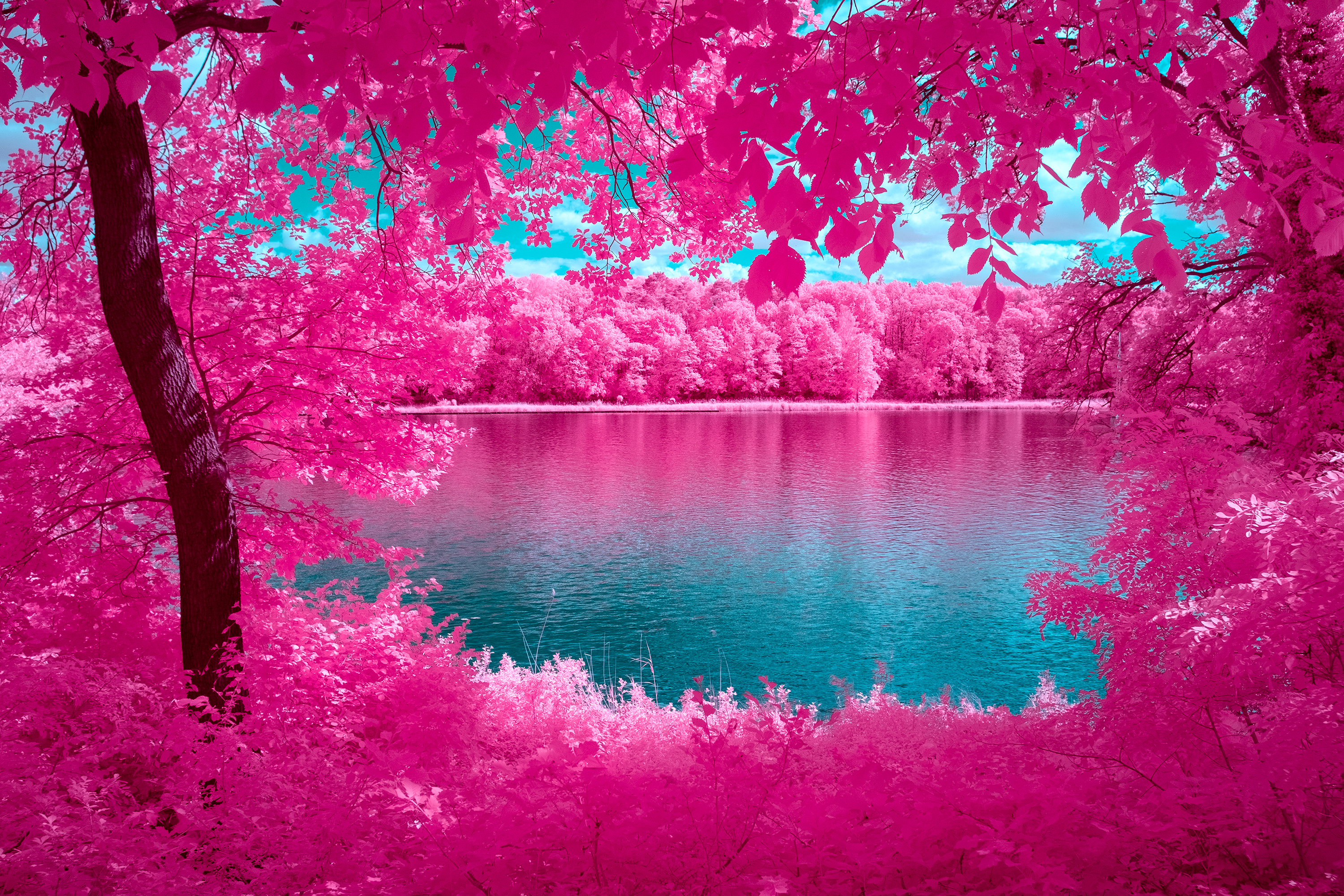 The Mirror Of Nature