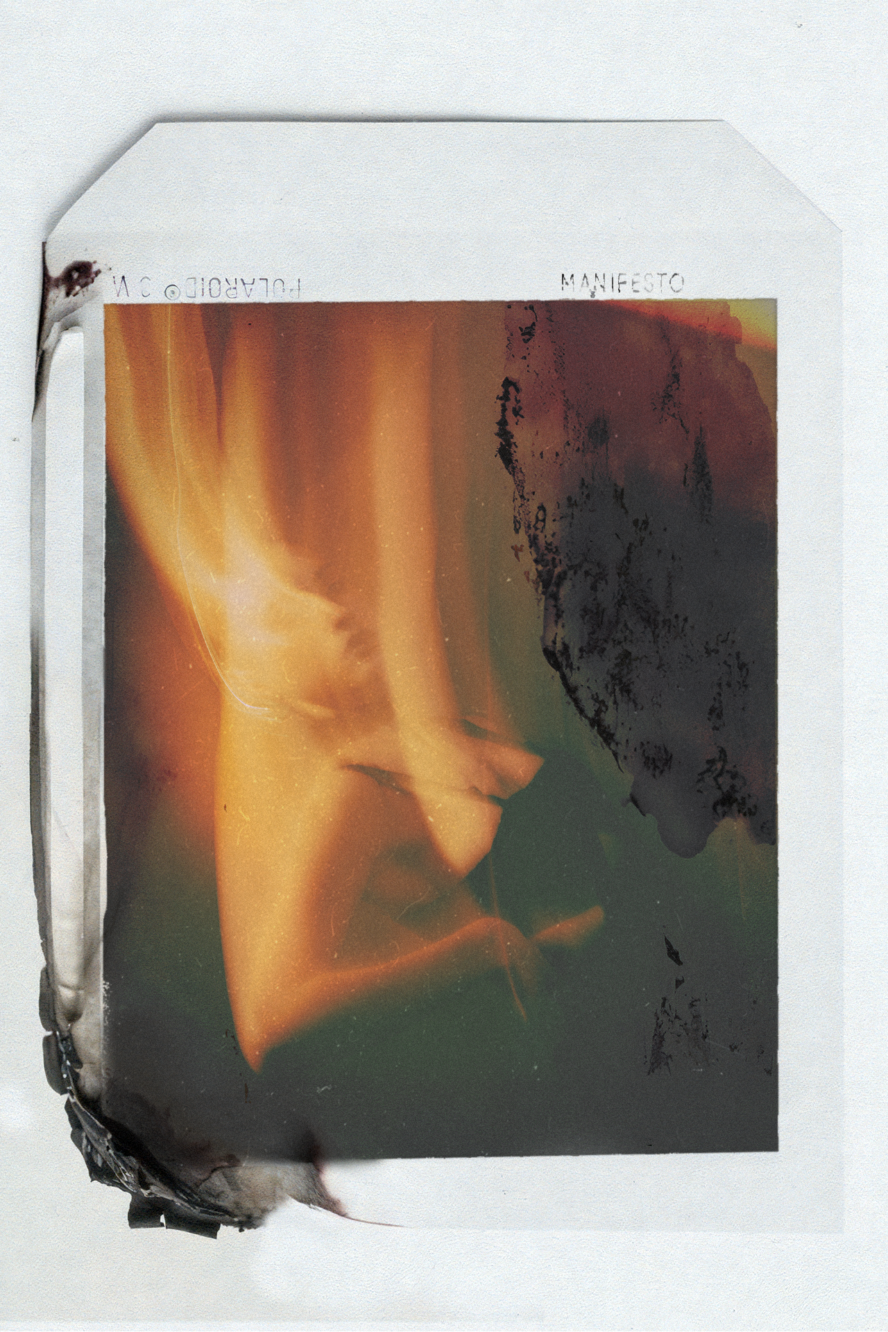 Stillness in Motion #144