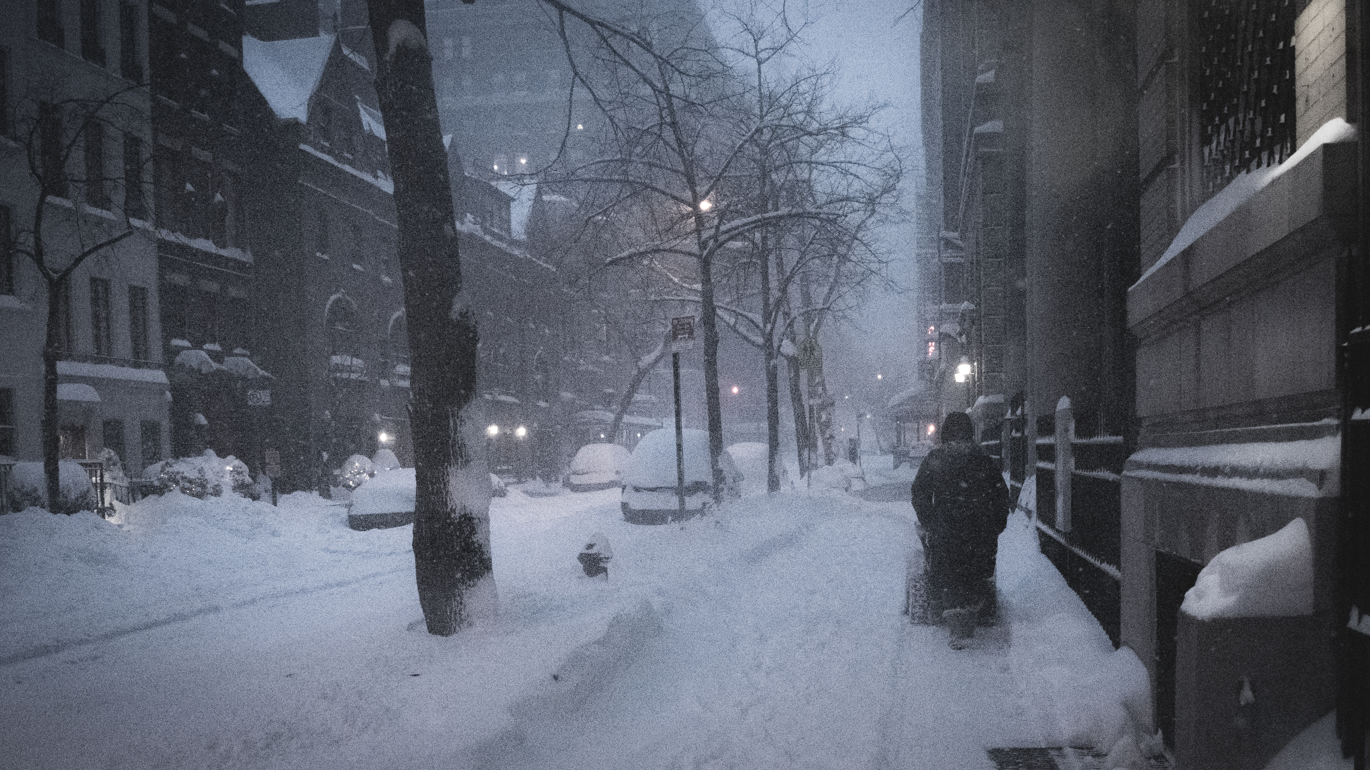 Snow Days In NYC - 21