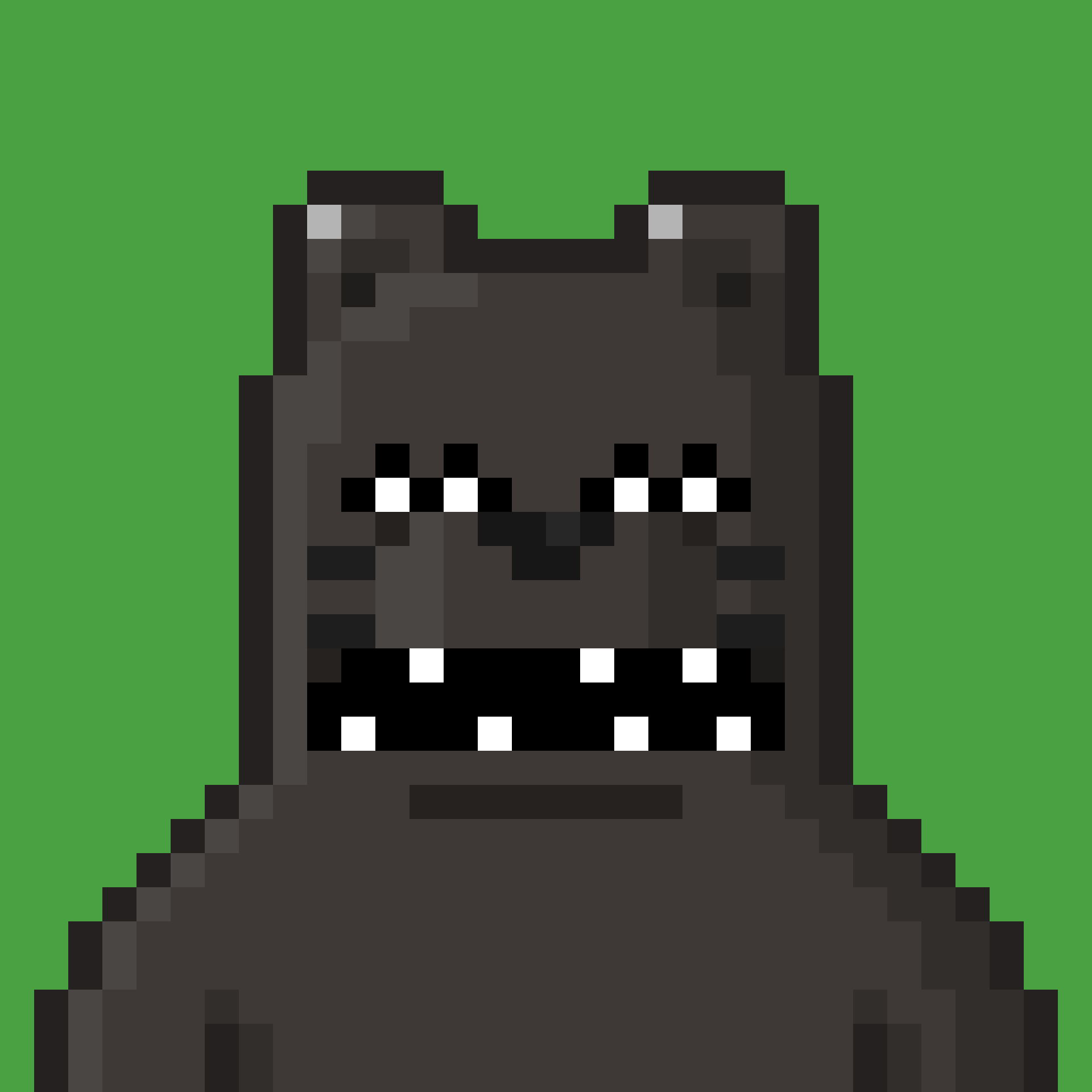 SLUMBEAR2119