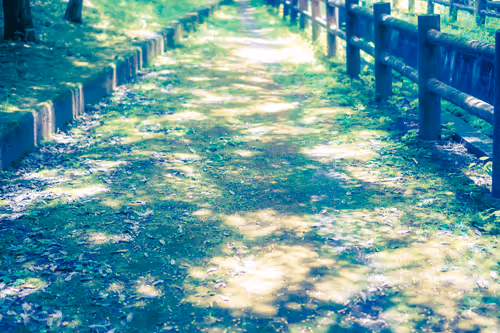 Dreamy days #40
