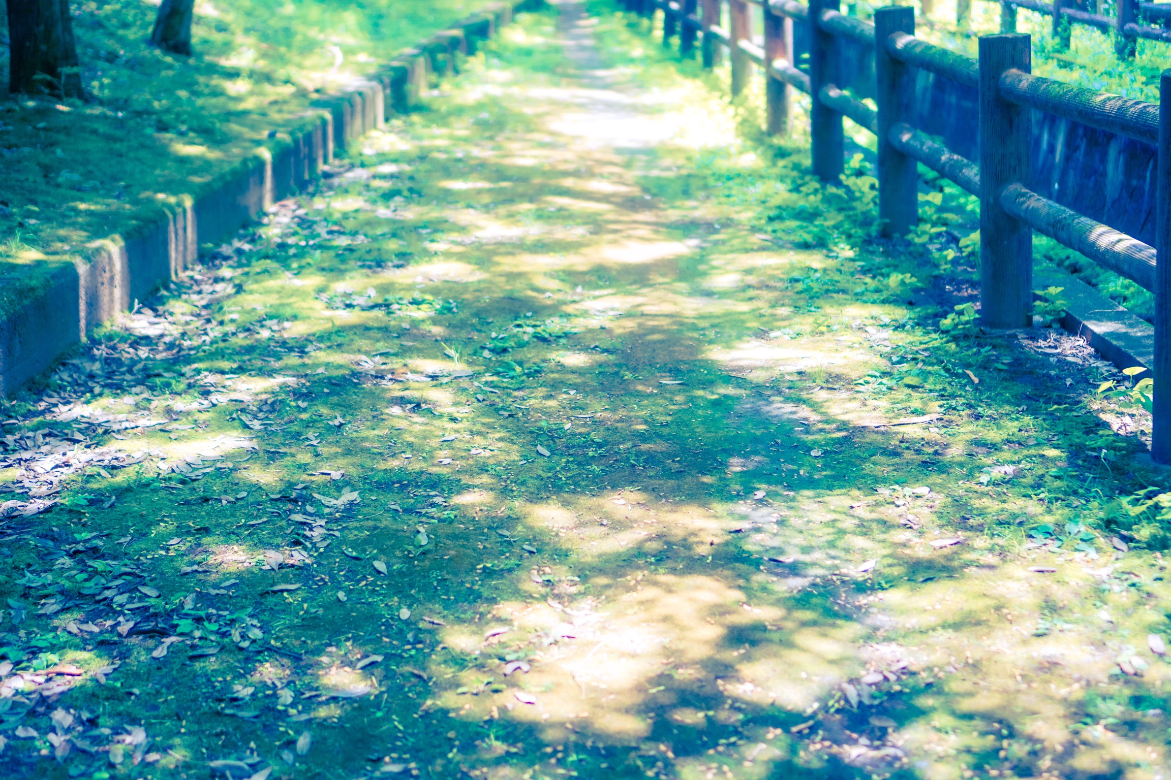 Dreamy days #40