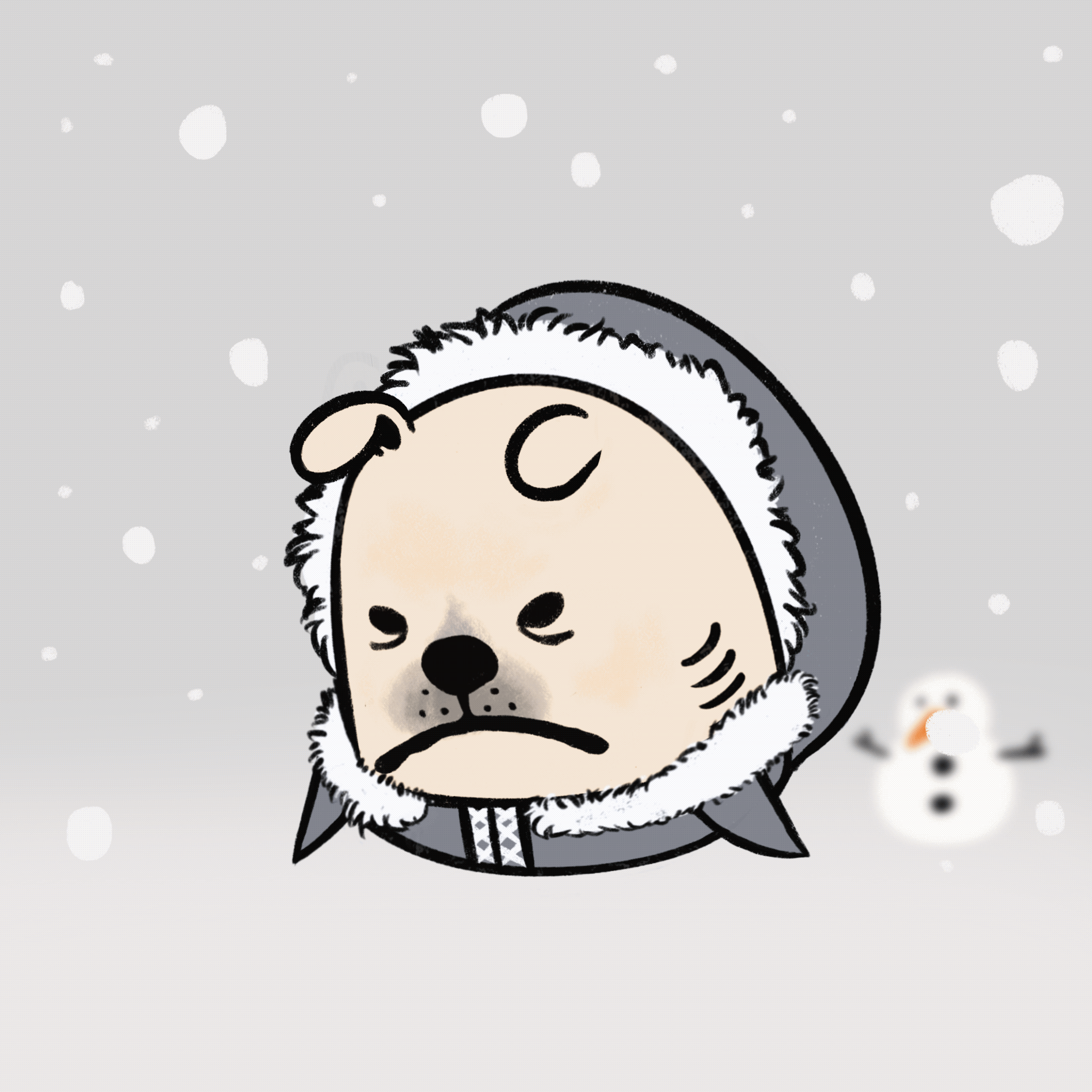 Crypto Shark #208