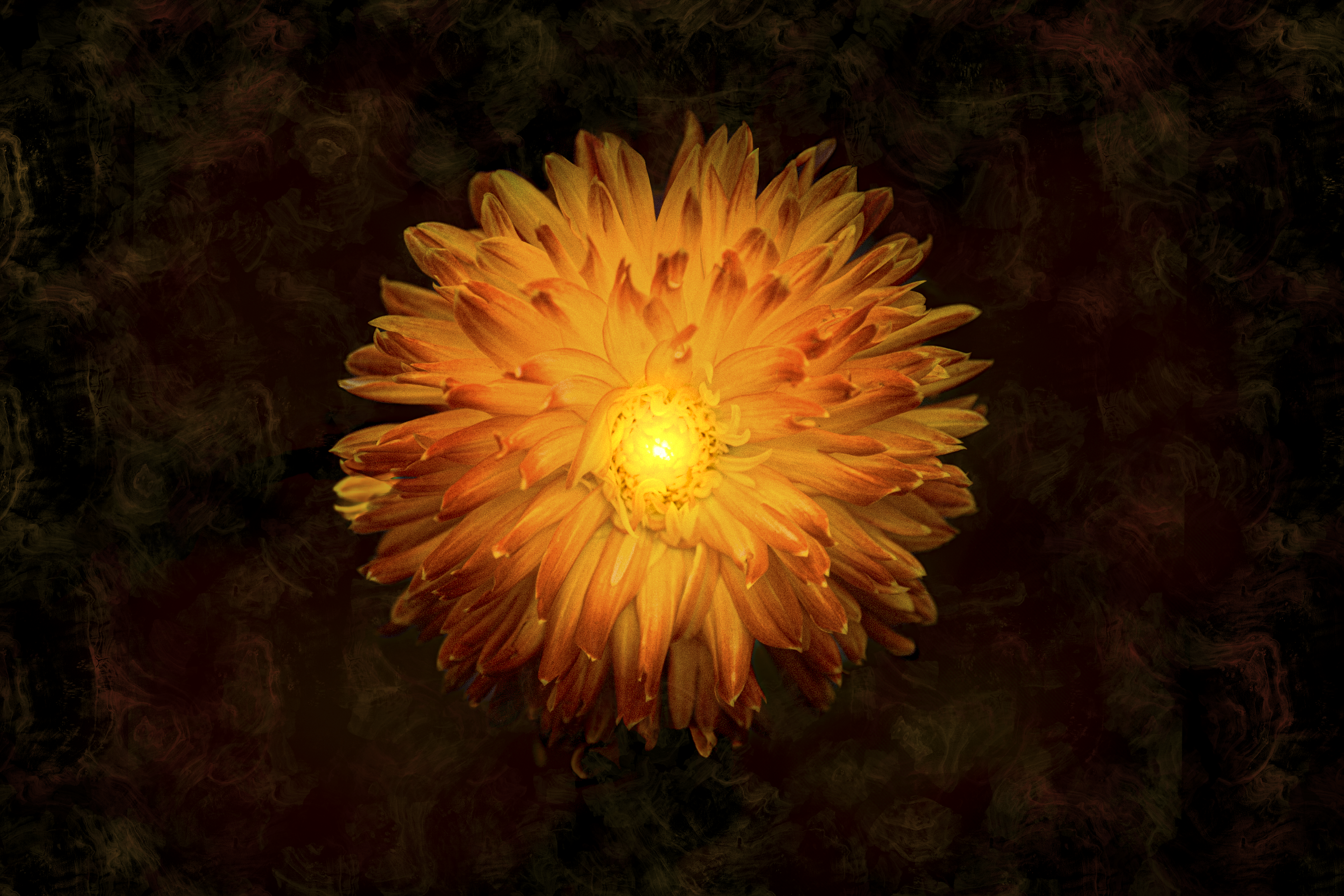 SOLARIS