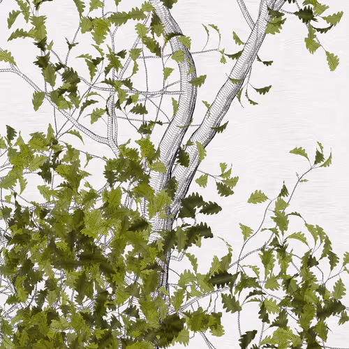 The Oak Tree part #0,+2