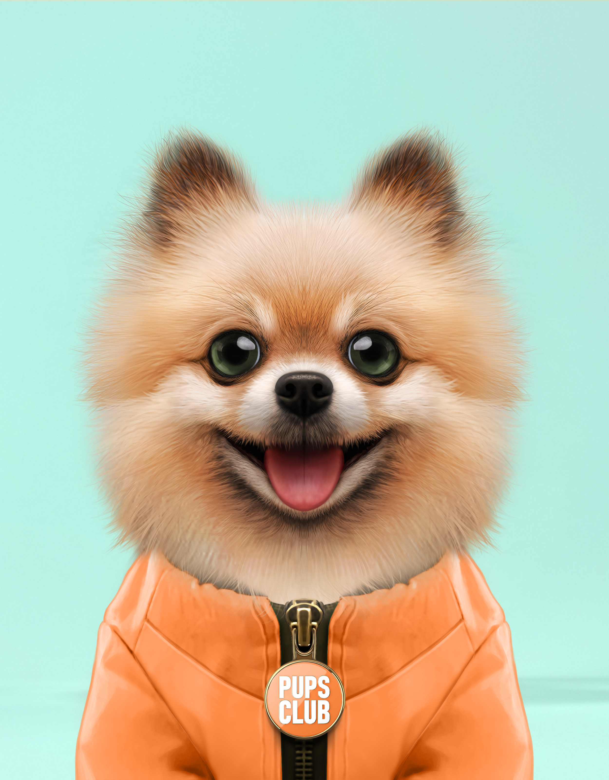 Pup #8658