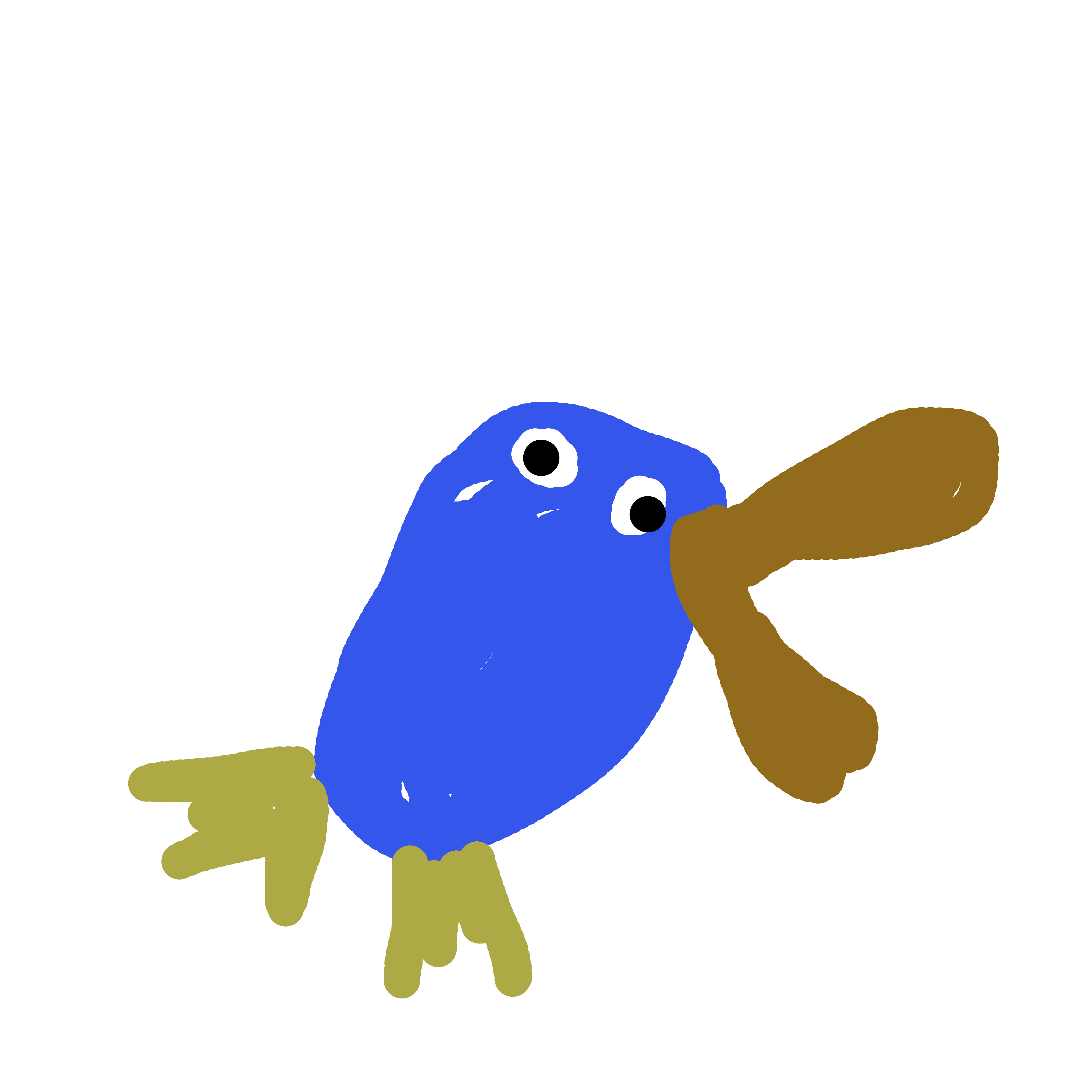 Platypus