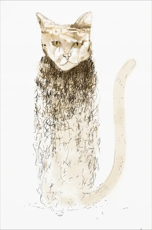 The Cat