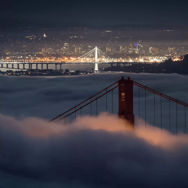 A Symphony of Fog in Motion #2