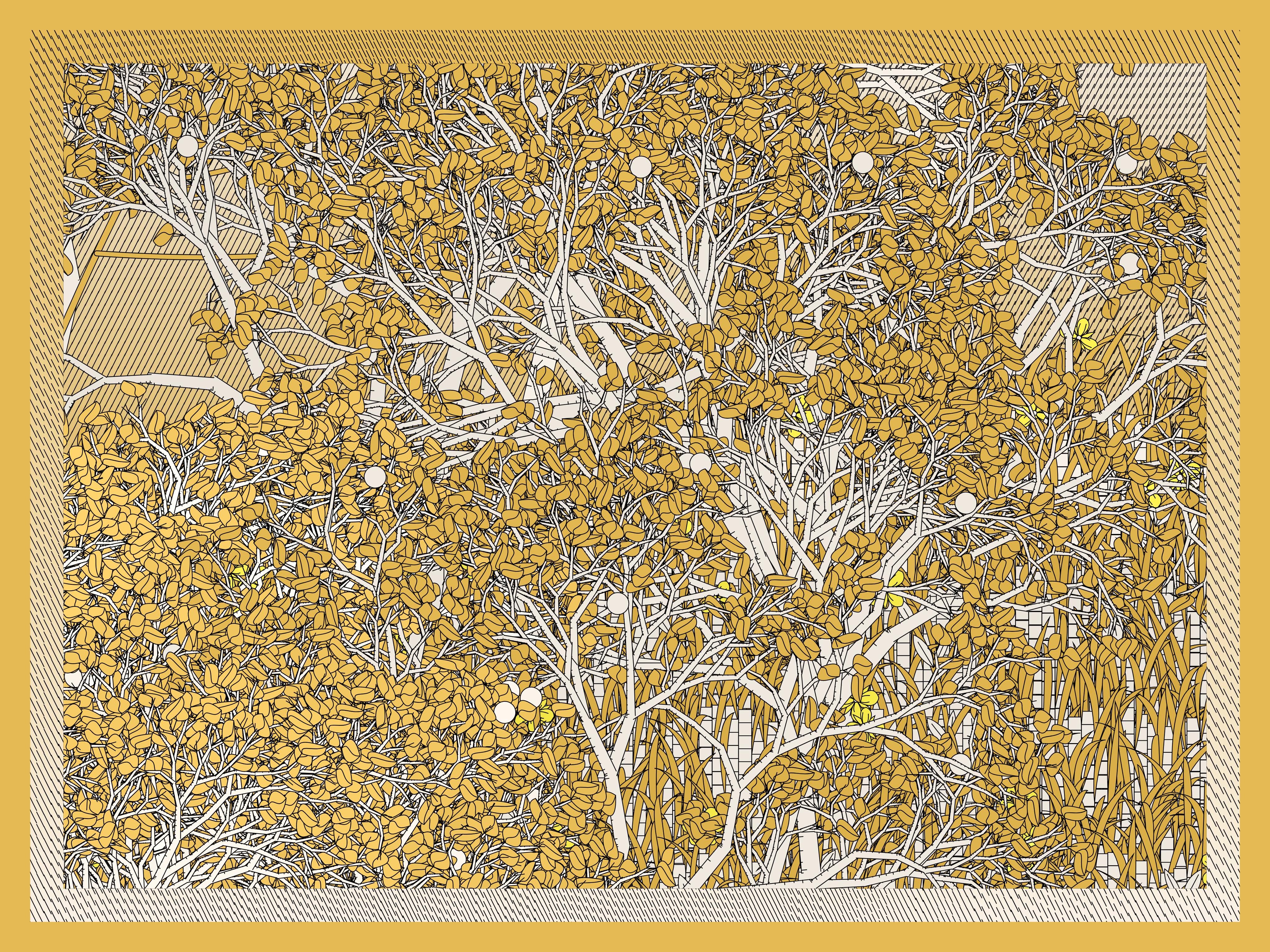 Entangled #320