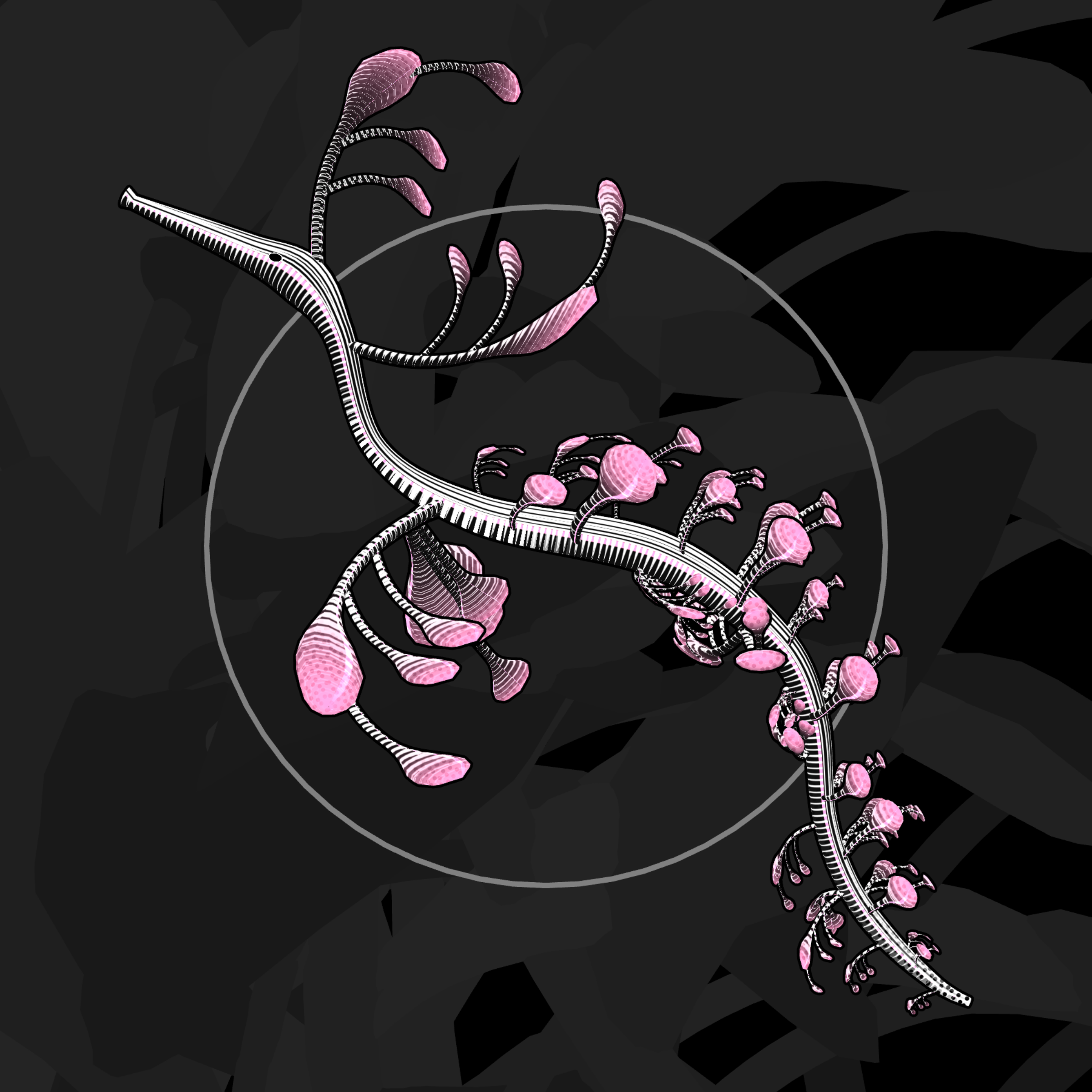 Seadragons #573