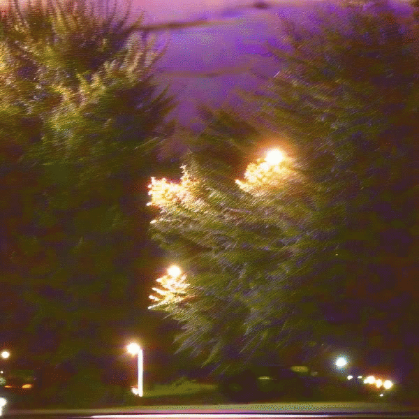 trees are wired