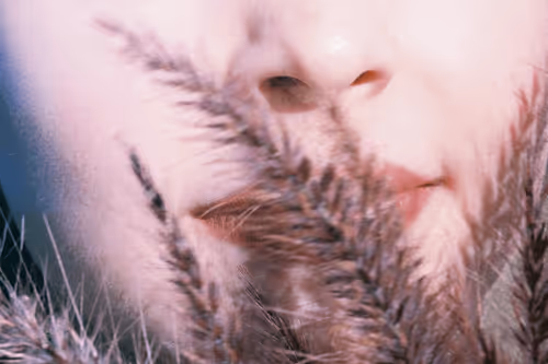 Foxtails