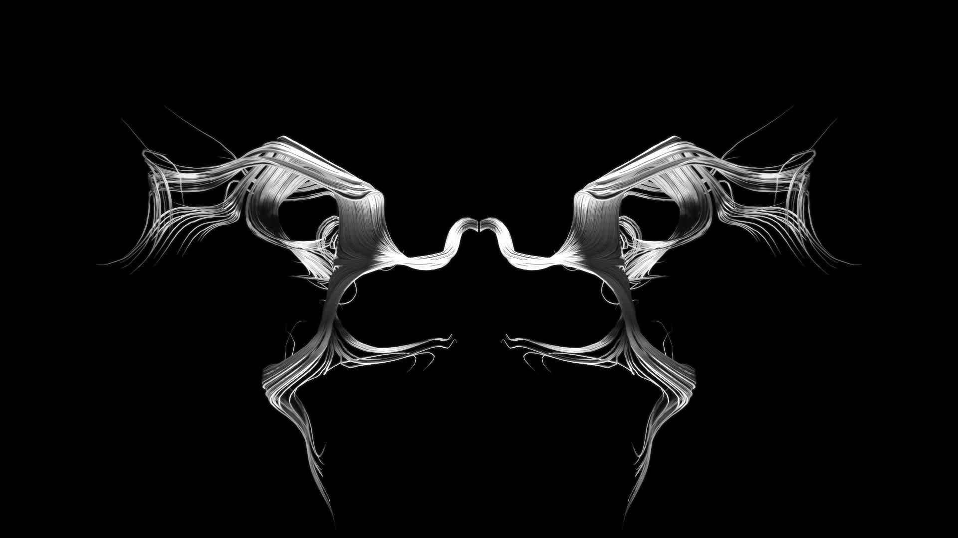 Entropy 44 #1/1