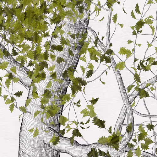 The Oak Tree part #0,0