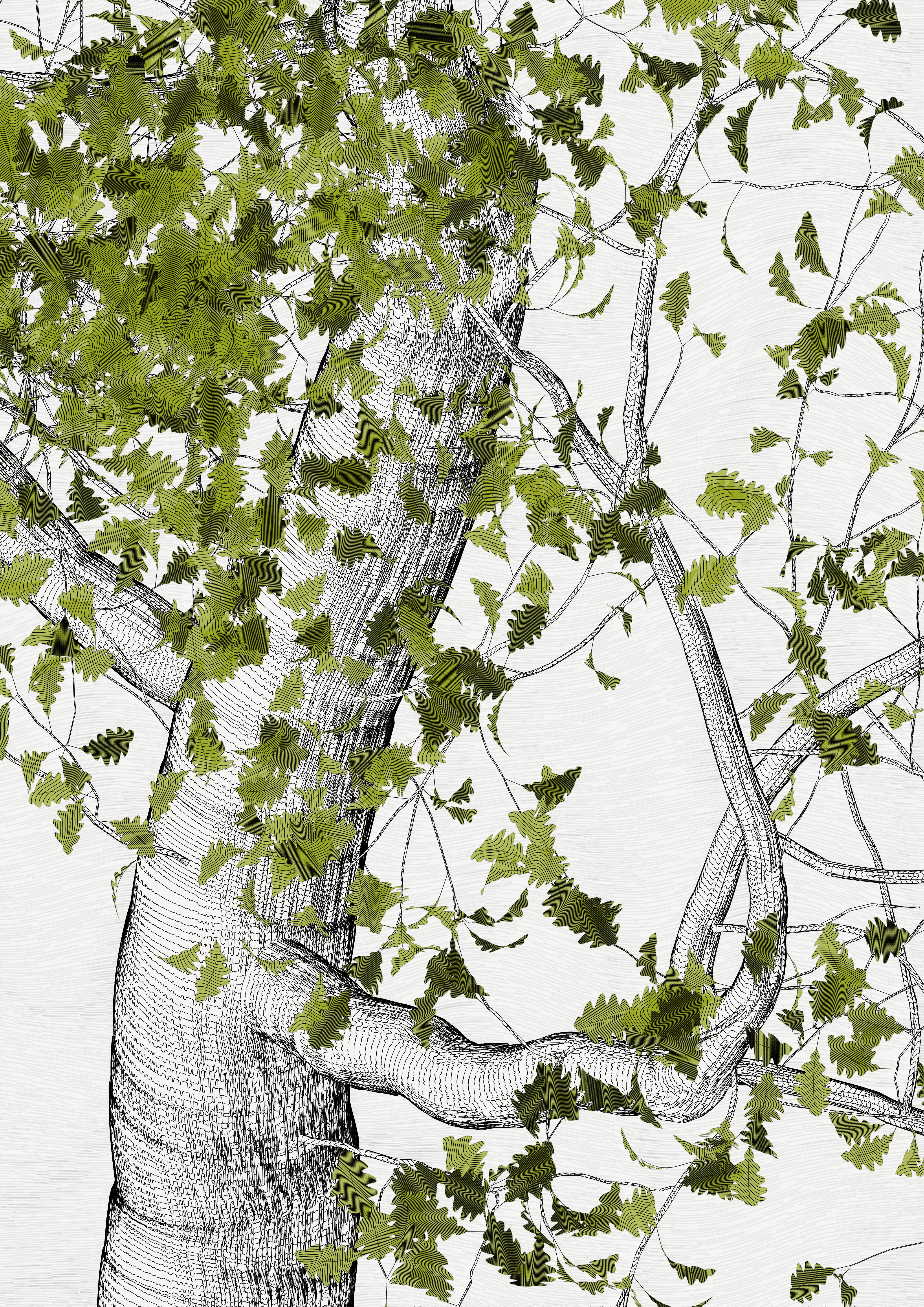 The Oak Tree part #0,0