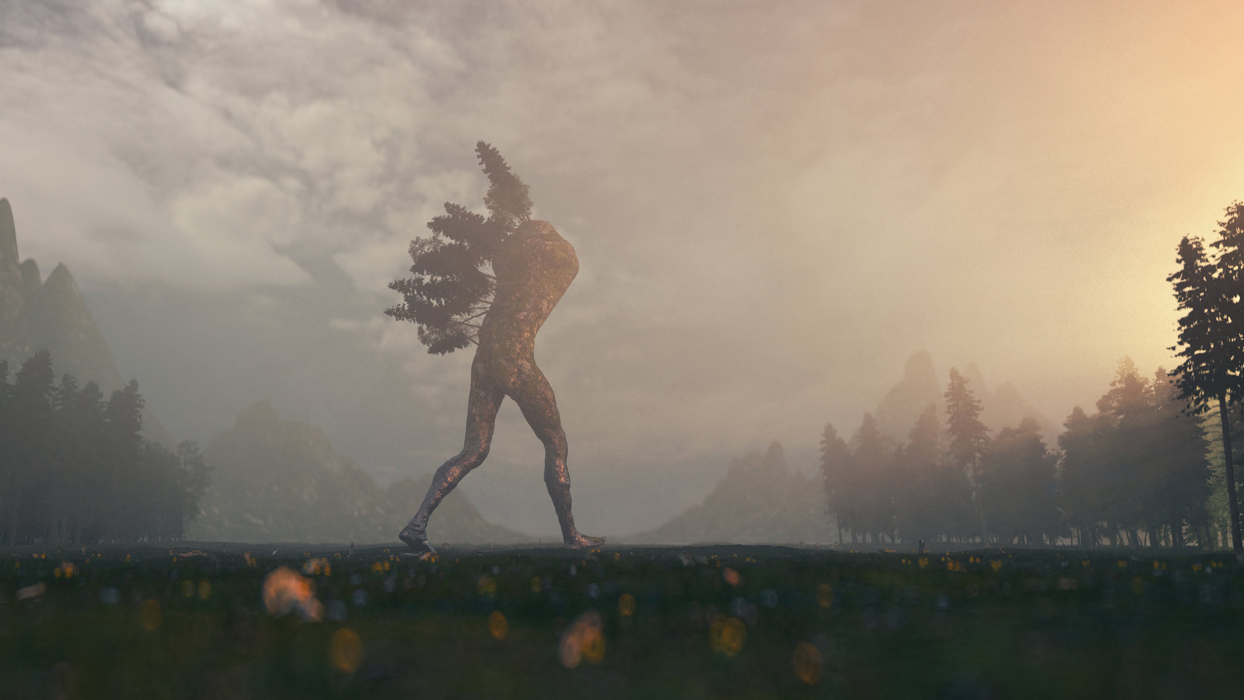 CALM PLACES 02 - a clearing