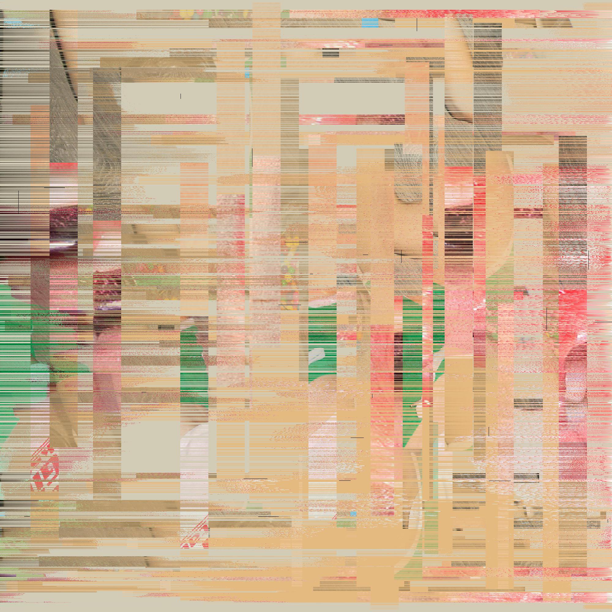 EXIF #30