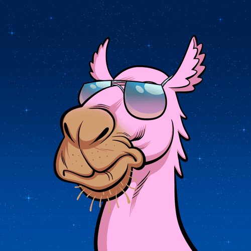 Arabian Camel #9907