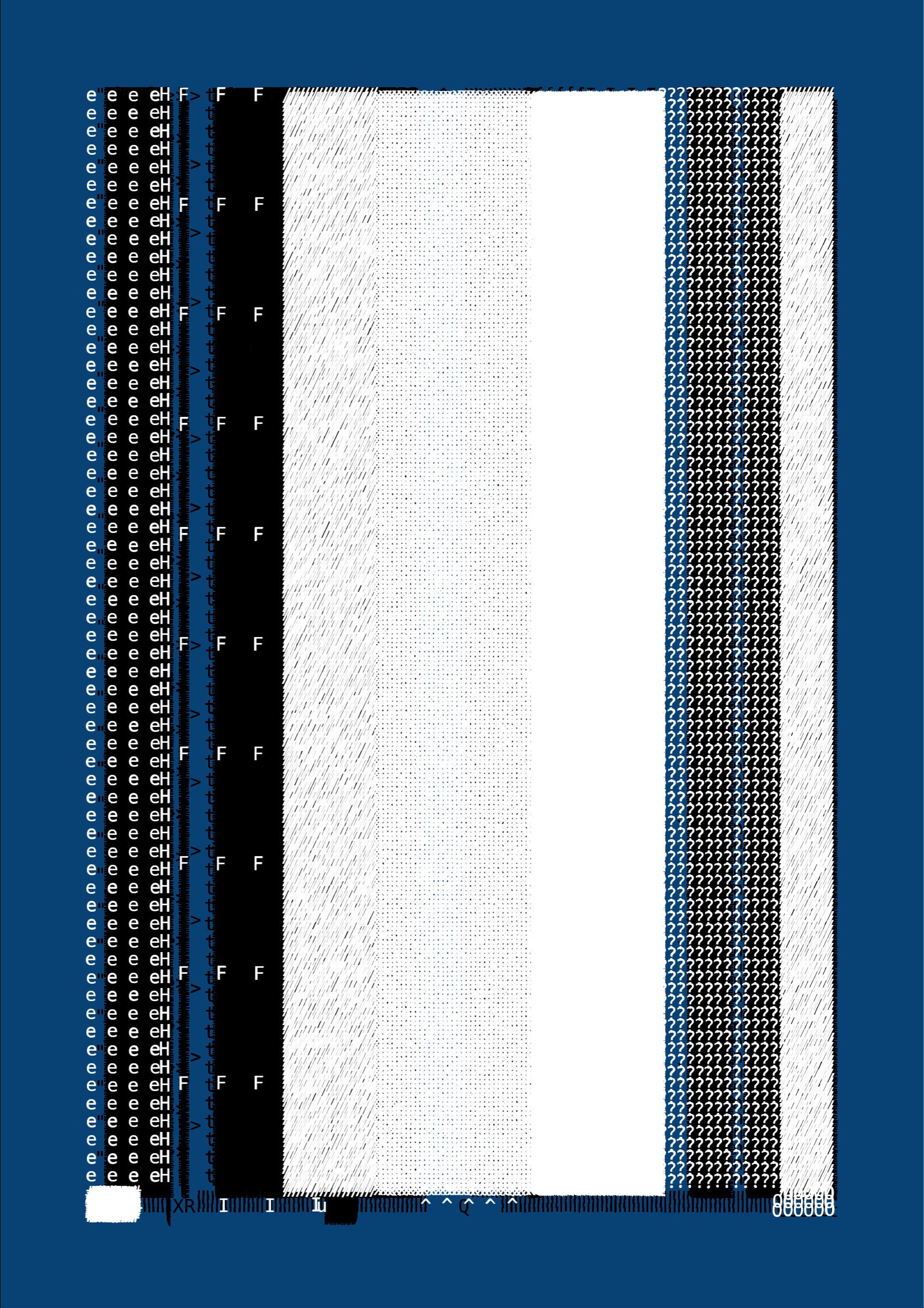 FOLIO #14