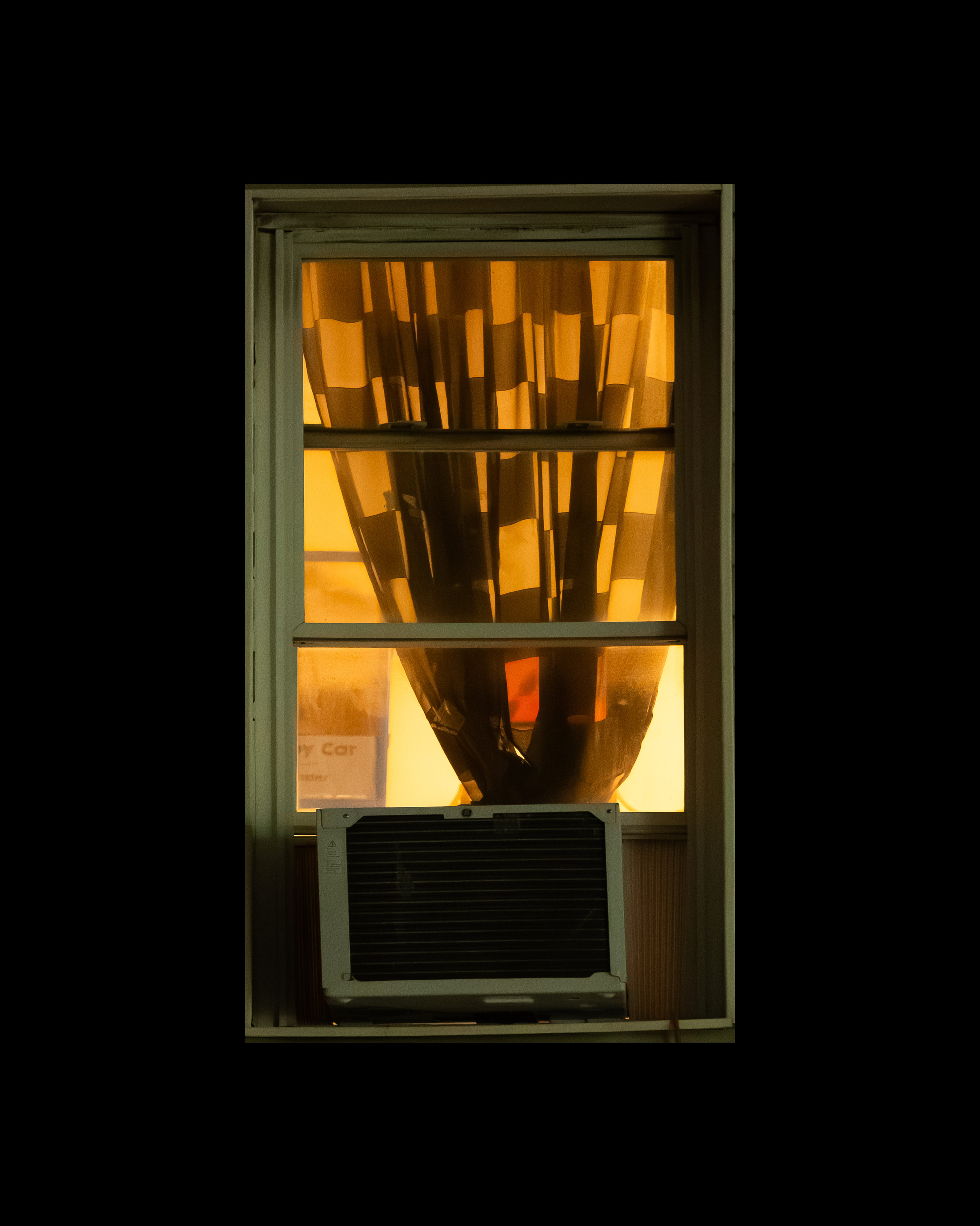 WINDOW 242