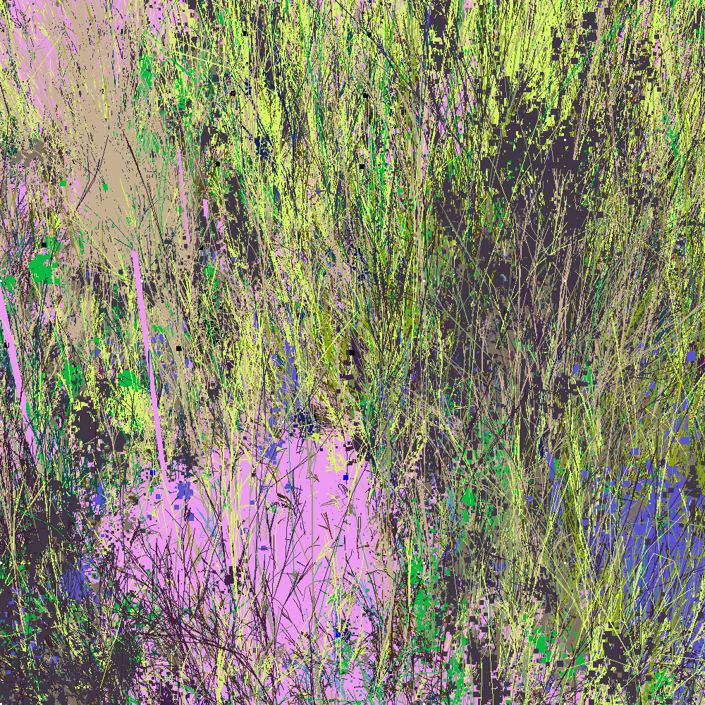Infinite Garden: 171919 Flowers
