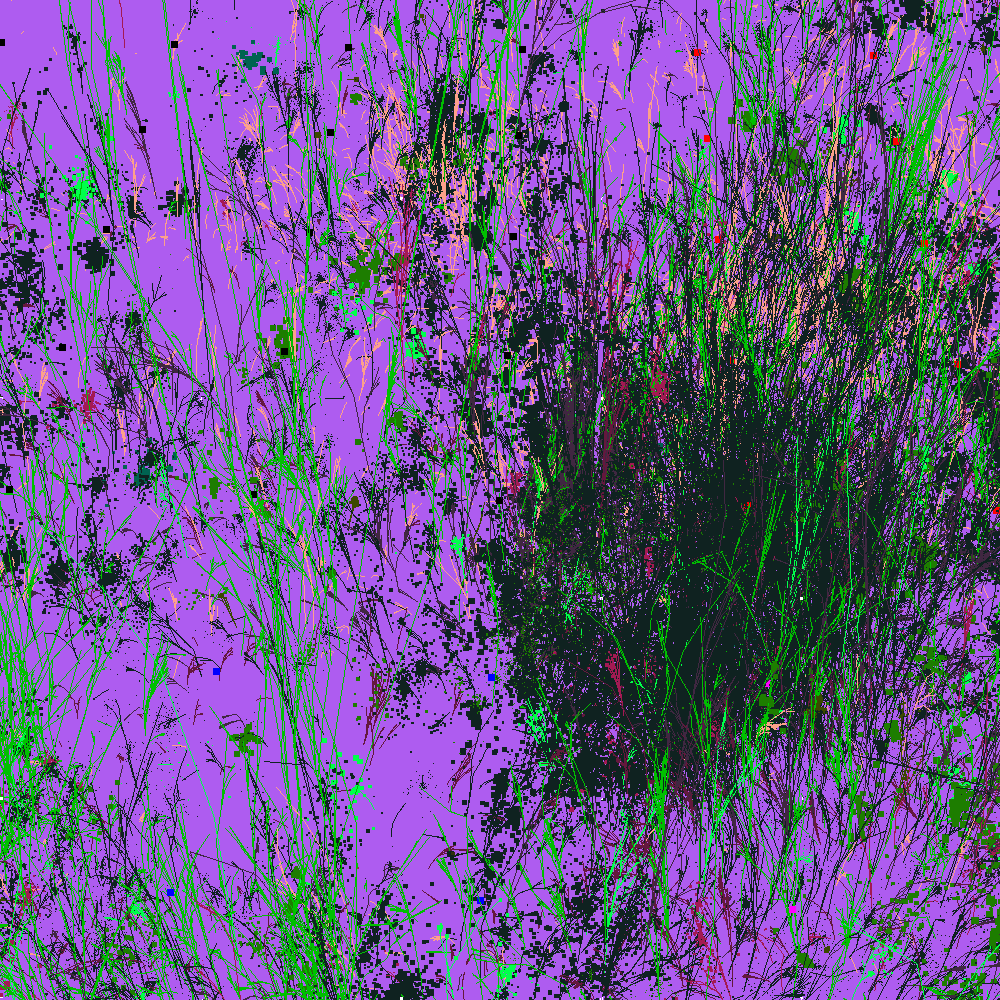 Infinite Garden: 40591 Flowers