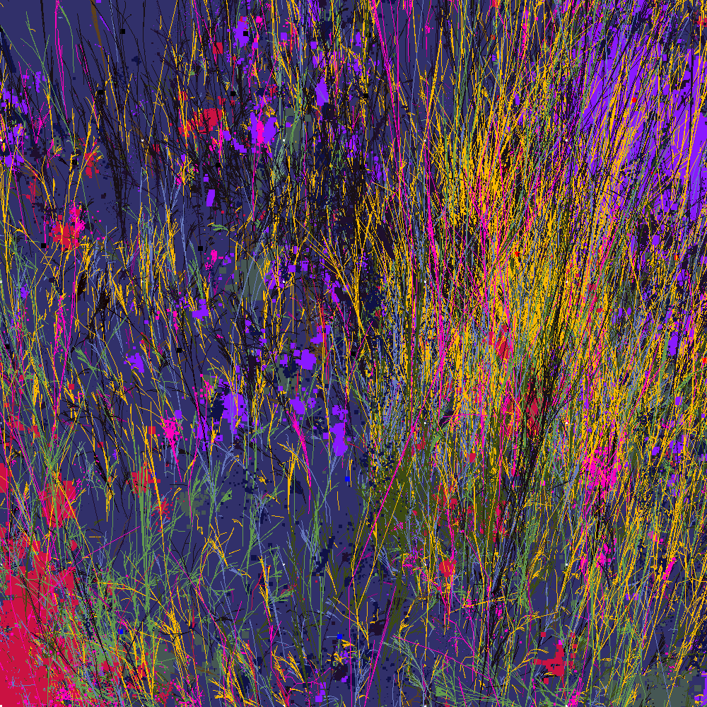 Infinite Garden: 61211 Flowers