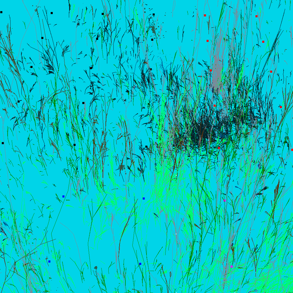 Infinite Garden: 16160 Flowers