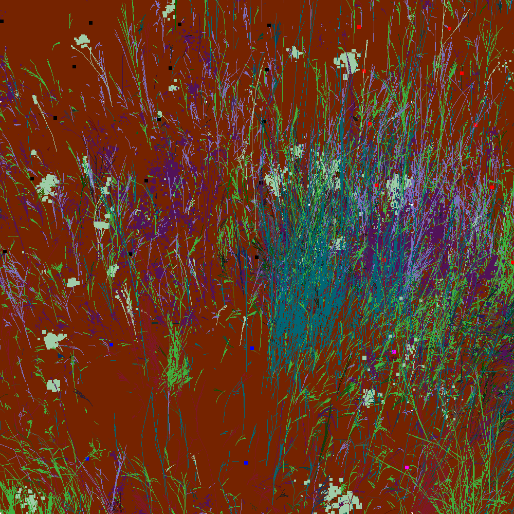 Infinite Garden: 25547 Flowers