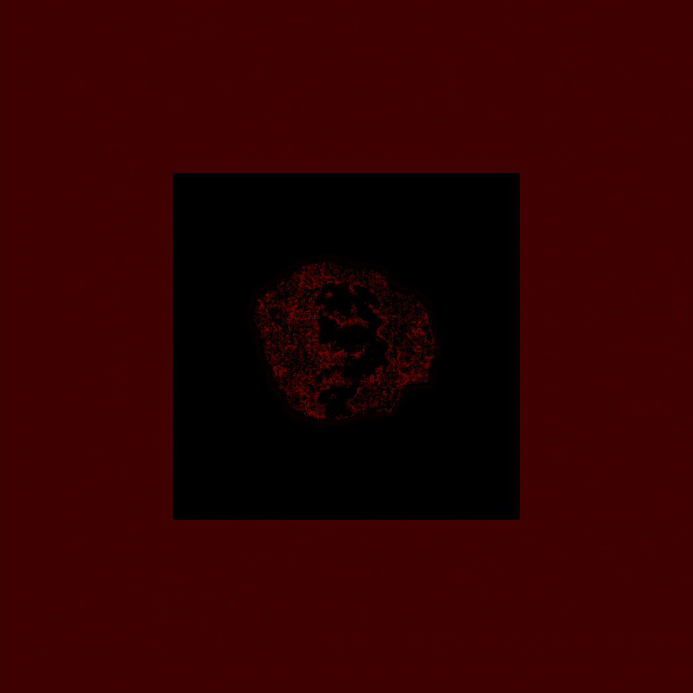 Fragment #96